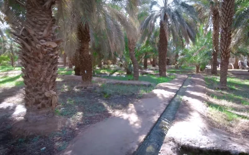 Garden of Salman al-Farsi (RA) Ziyarat site, Madinah